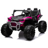 HONDA  24V TALON BUGGY